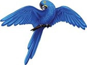 SCBR Westcoast Logo